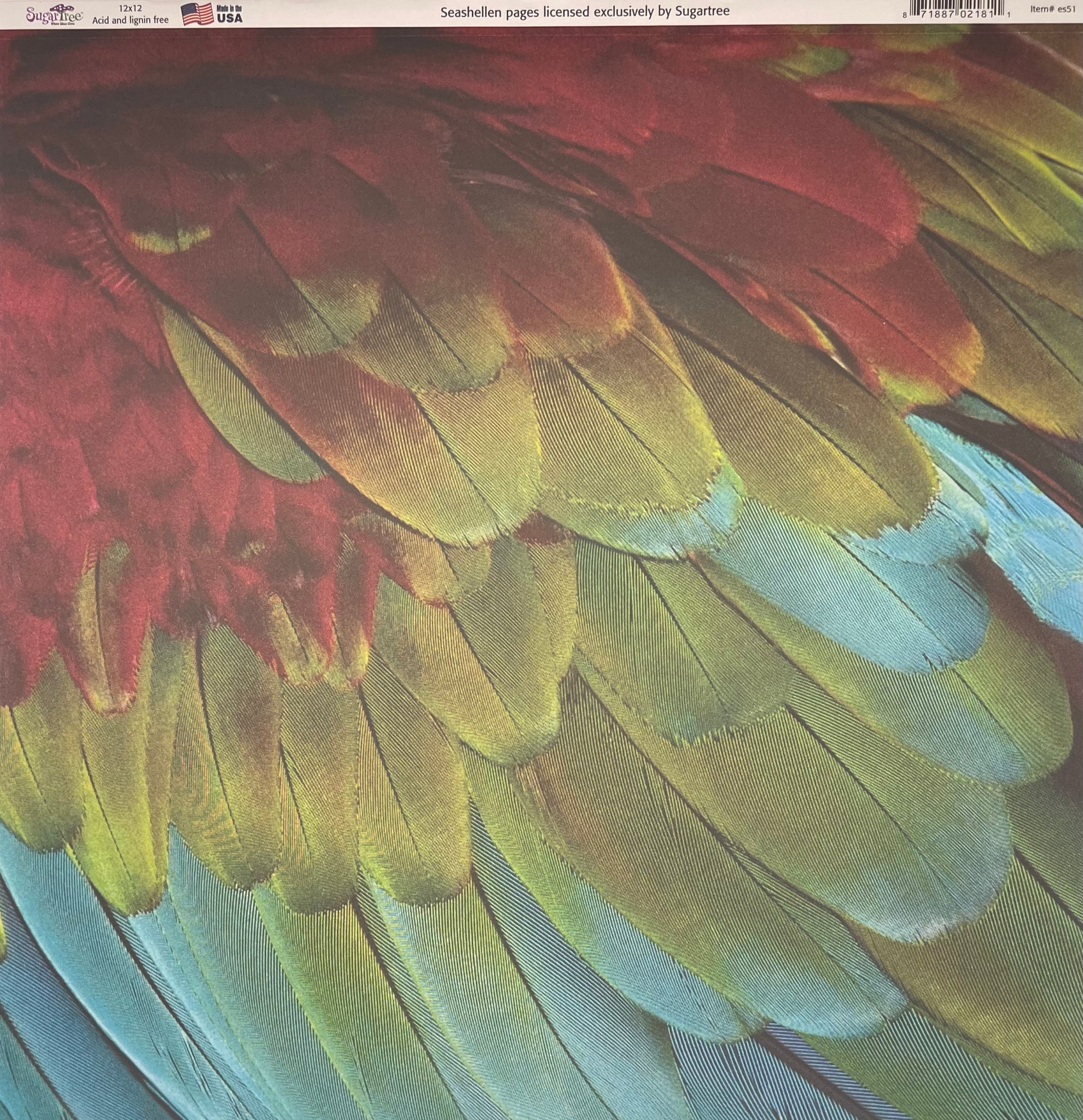 Parrot Feathers Paper