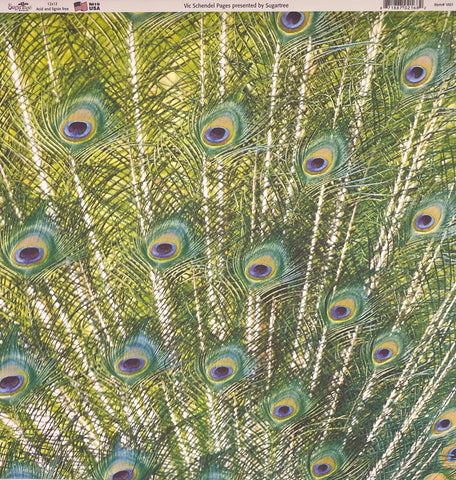 Peacock Feathers Paper