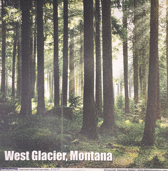 Montana Forest Paper Collection