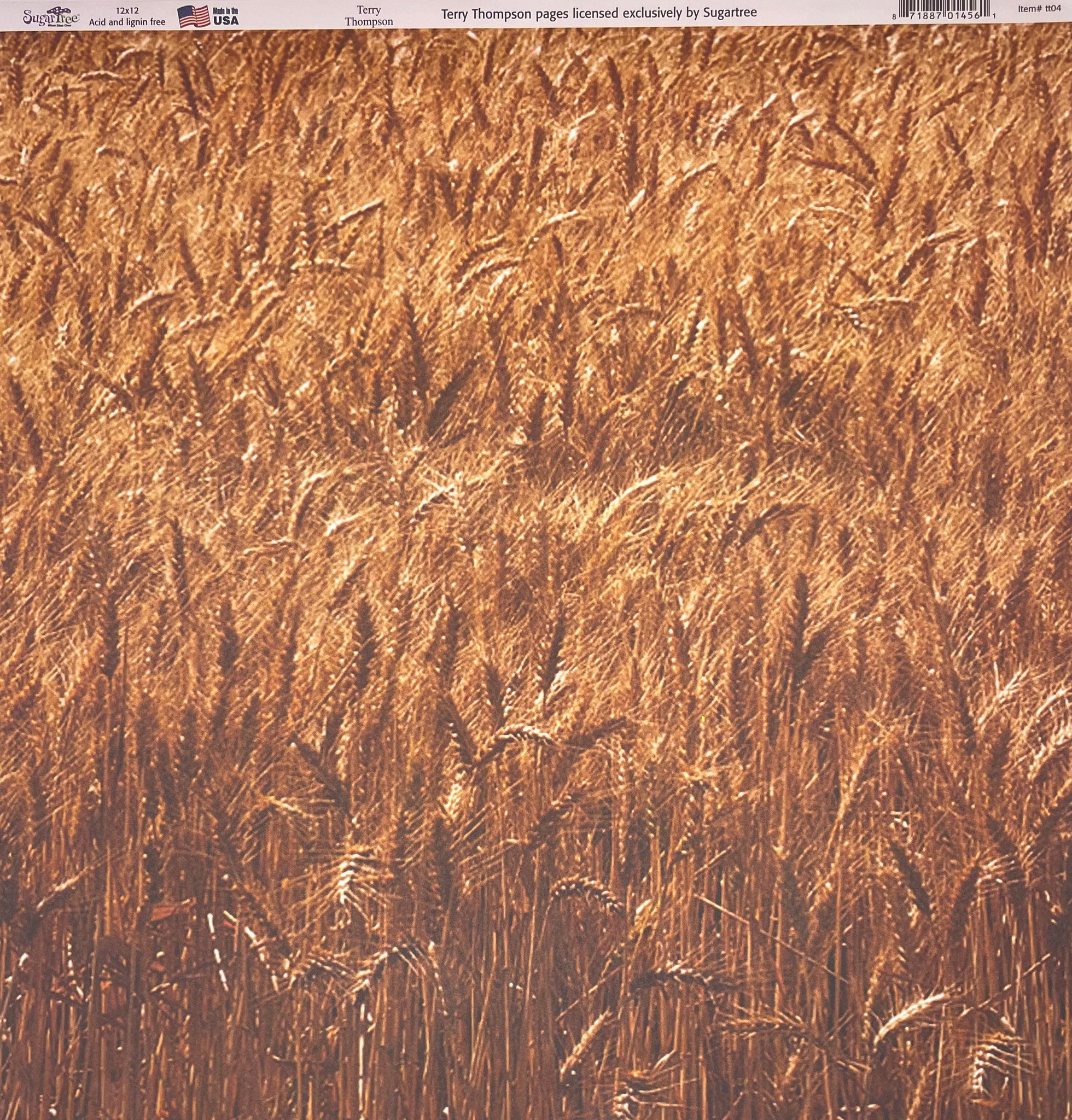 Wheat Paper