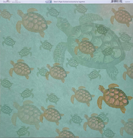 Sea Turtles Paper