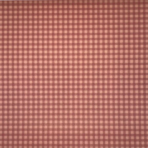 Cowboy Red Gingham Paper