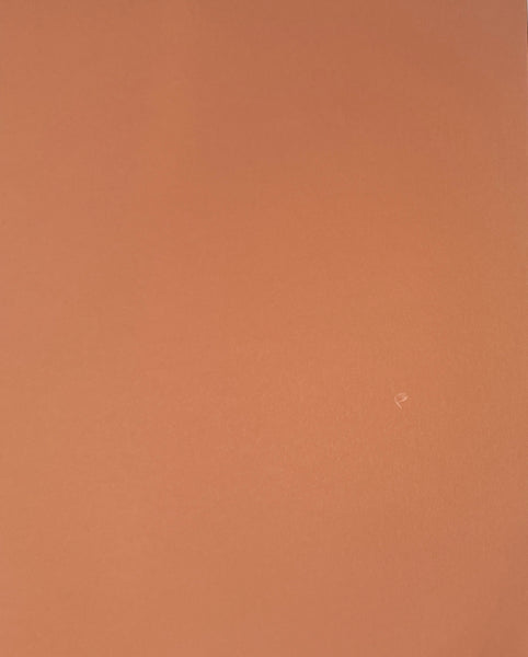 ColorMates Smooth Cardstock Desert Dune