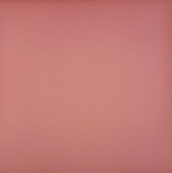 ColorMates Smooth Cardstock Mostly Mauve