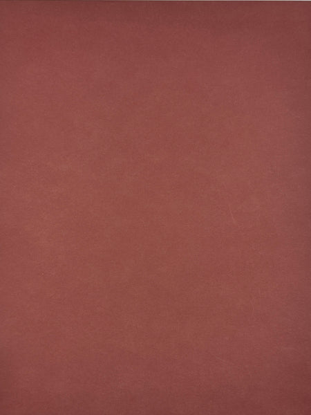 ColorMates Smooth Cardstock Autumn Red