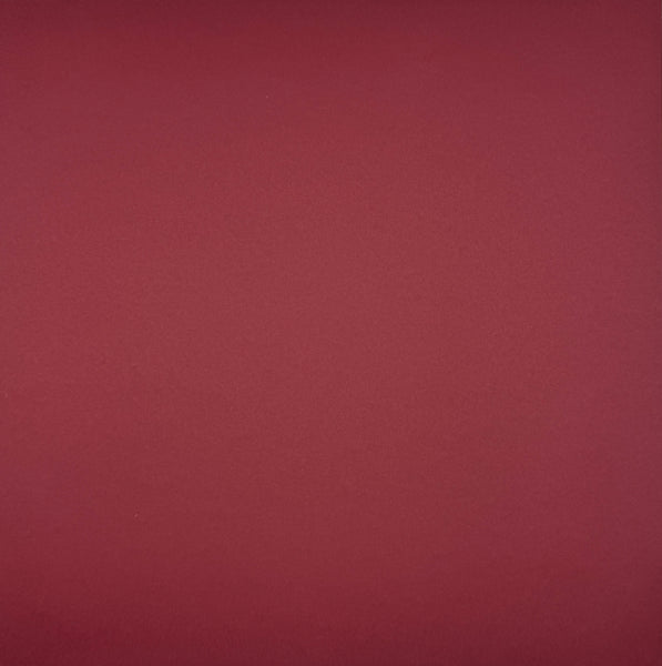 ColorMates Smooth Cardstock Racy Raspberry