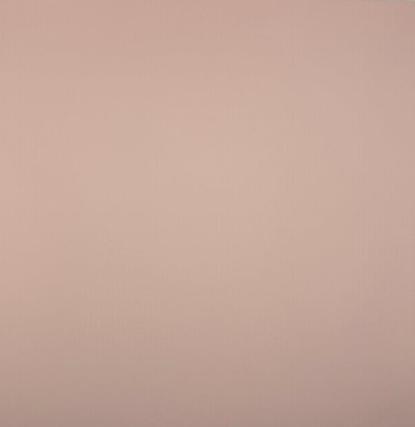 ColorMates Smooth Cardstock Fairy Tale Pink
