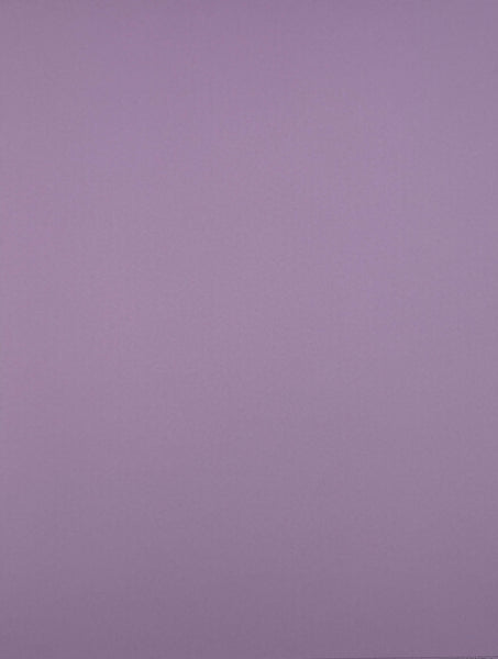 ColorMates Smooth Cardstock Lovely Lilac