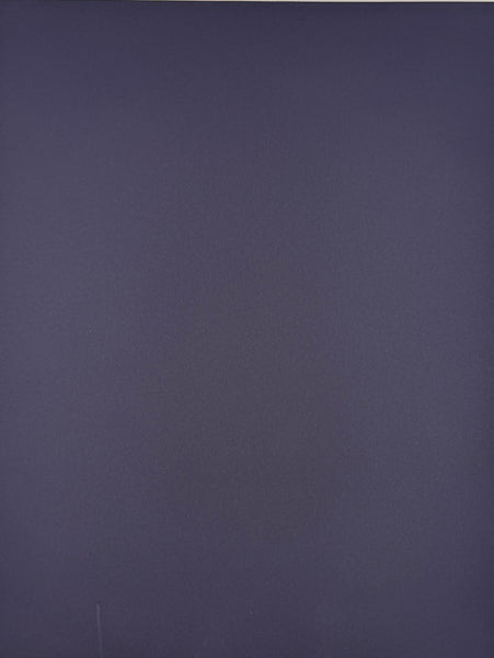 ColorMates Smooth Cardstock Icy Indigo