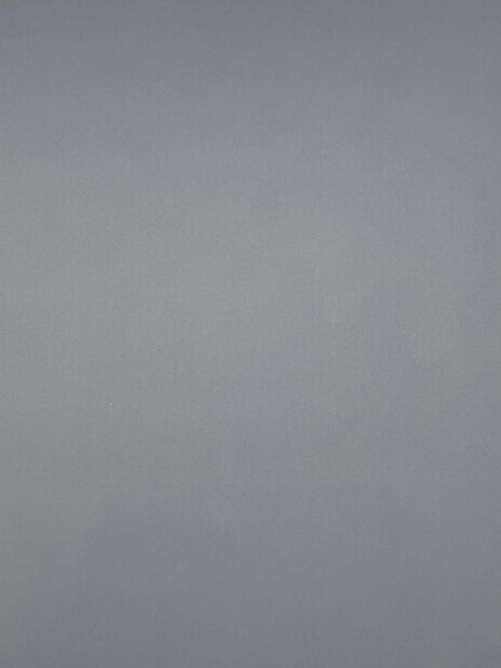 ColorMates Smooth Cardstock Tempting Tanzanite