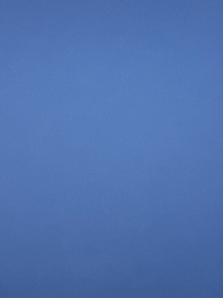 ColorMates Smooth Cardstock Tempting Tanzanite