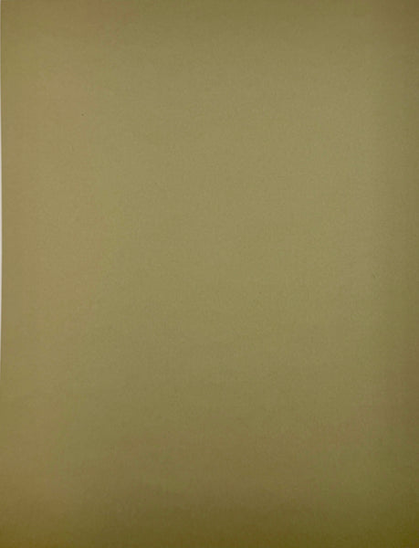 ColorMates Smooth Cardstock Creamy Cocoa