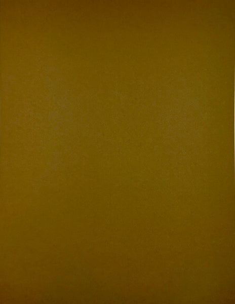 ColorMates Smooth Cardstock Creamy Cocoa
