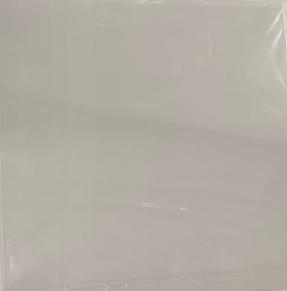 Bazzill Plastic 12x12 Paper