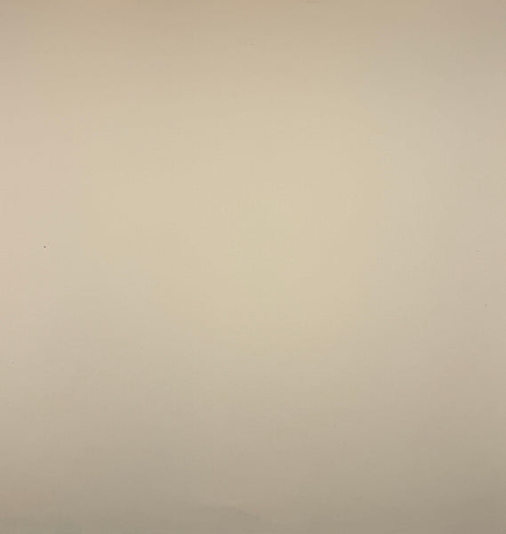 ColorMates Smooth Cardstock Totally Tan