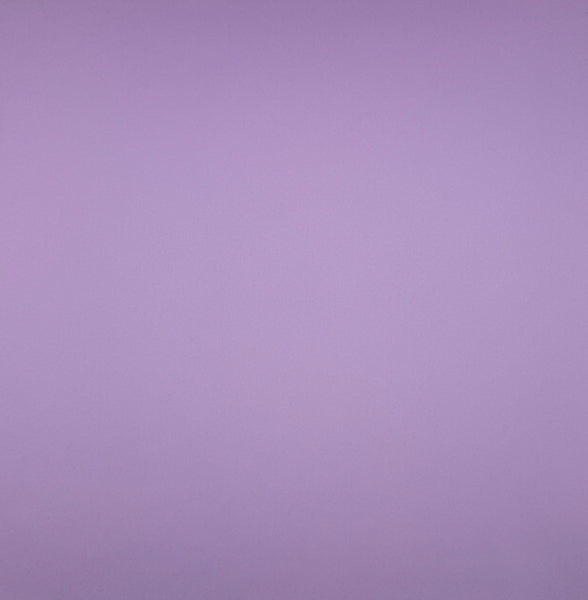 ColorMates Smooth Cardstock Groovy Grape