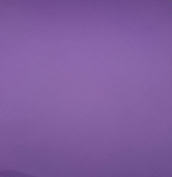 ColorMates Smooth Cardstock Groovy Grape