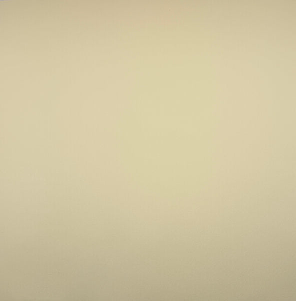 WorldWin Papers CutMates 12x12 Cardstock