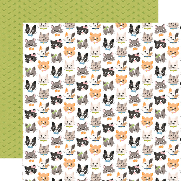Echo Park Cat Lover 12x12 Paper Collection