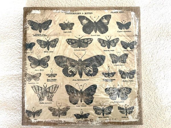 Tim Holtz District Market Canvas Burlap Panels