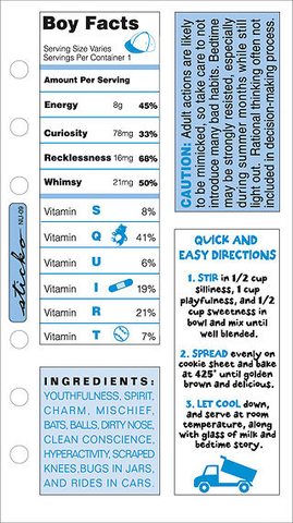 Boy Ingredient Stickers