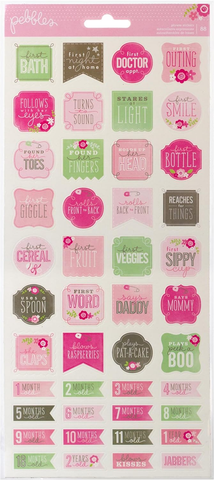 Special Delivery Girl Milestone Stickers