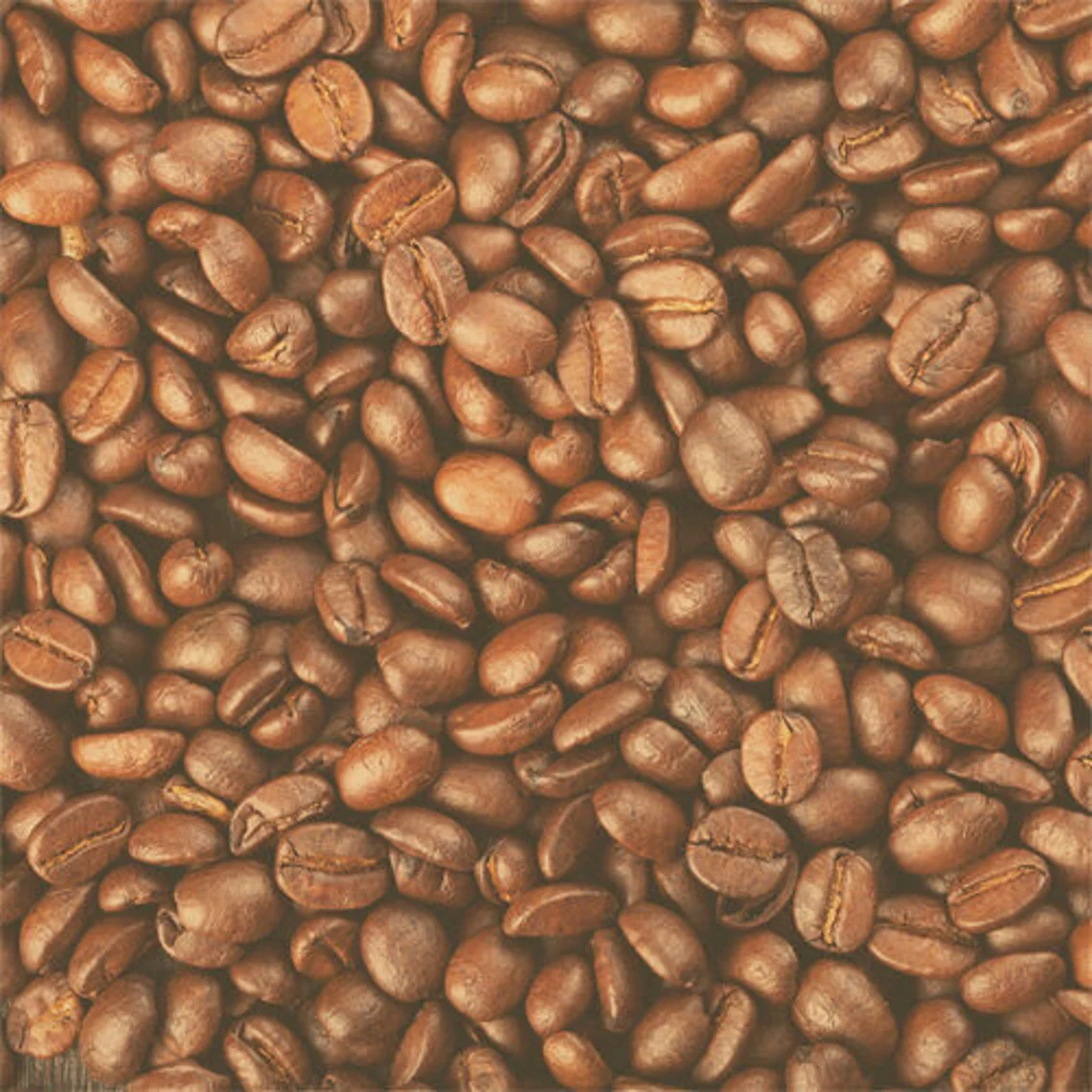 Coffee Beans Paper