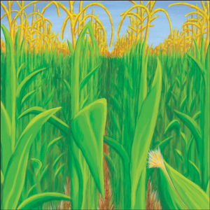 Corn Field Paper