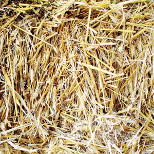 Hay & Straw Paper