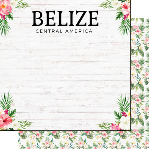 Belize Vacay DS Paper
