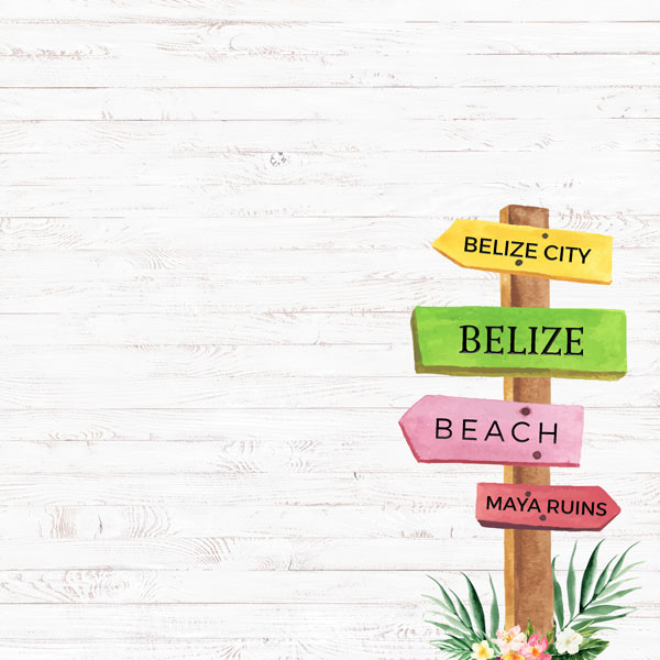 Belize Vacay Sign DS Paper