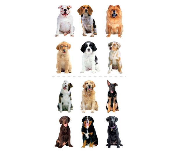 Dog Sticky Pix Sticker Collection