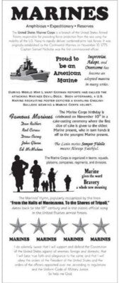Timeless Moments US Military Clear Stickers