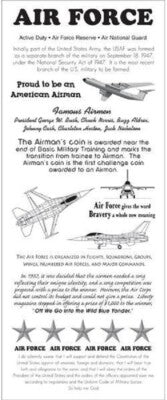 Timeless Moments US Military Clear Stickers