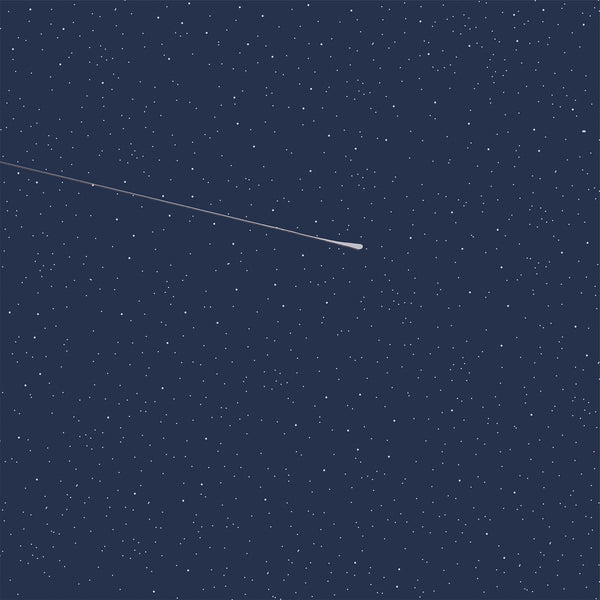 Outdoor Adventures Night Sky Paper