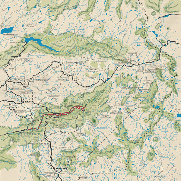 Outdoor Adventures Forest Ranger Paper