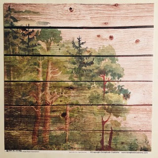 Wood Plank Watercolor Forest Paper