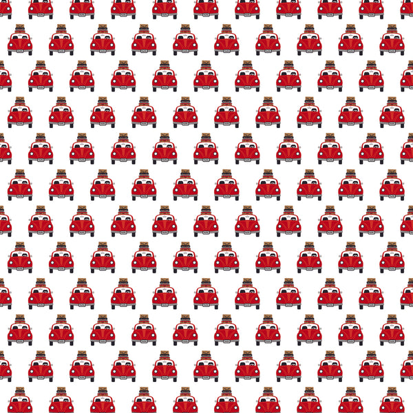 Let's Go Anywhere Passport Plaid Paper