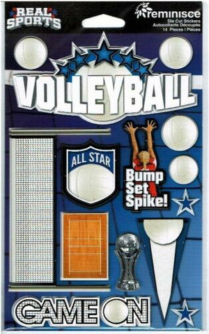 Volleyball 3D Stickers